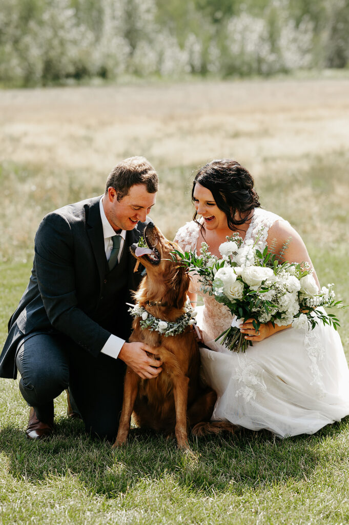 Bride and groom and their labrador