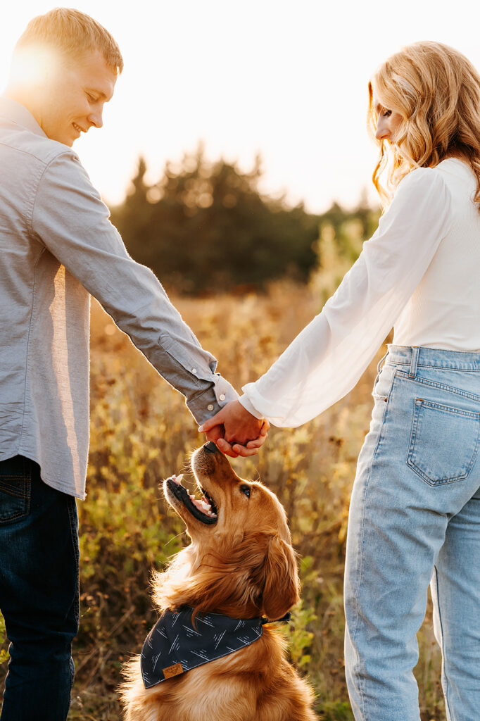 Engagement photo of a laughing couple being photobombed by their playful golden retriever amidst the natural beauty of a Bemidji field at sunset