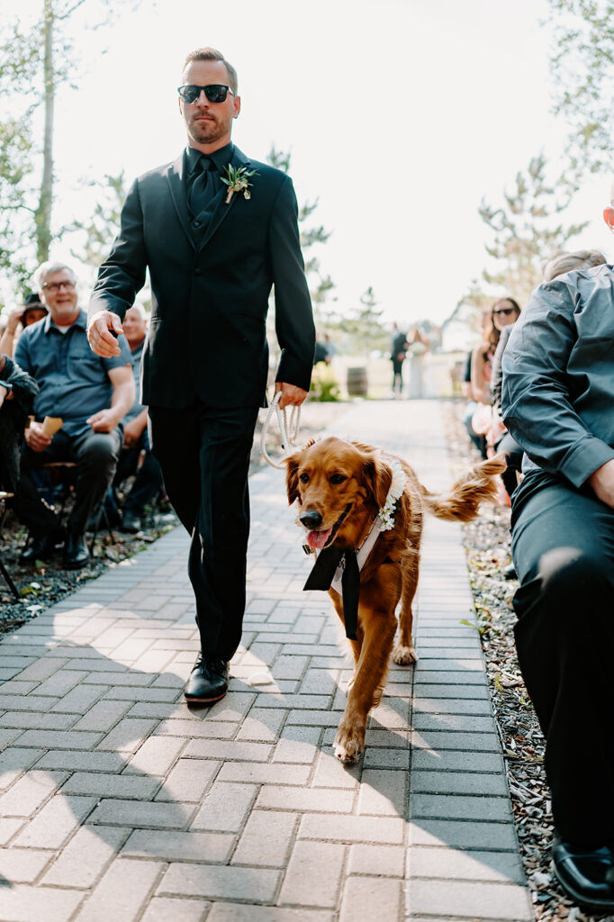 The couple's golden retriever being led down the aisle by a groomsman