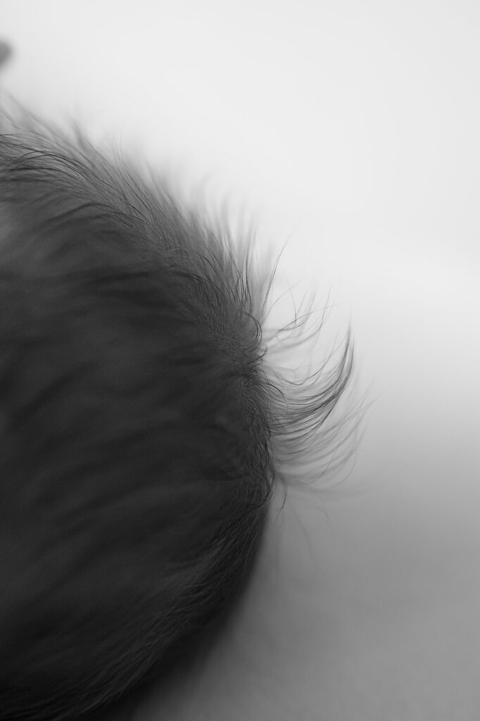 close up of baby's head cute baby hairs 