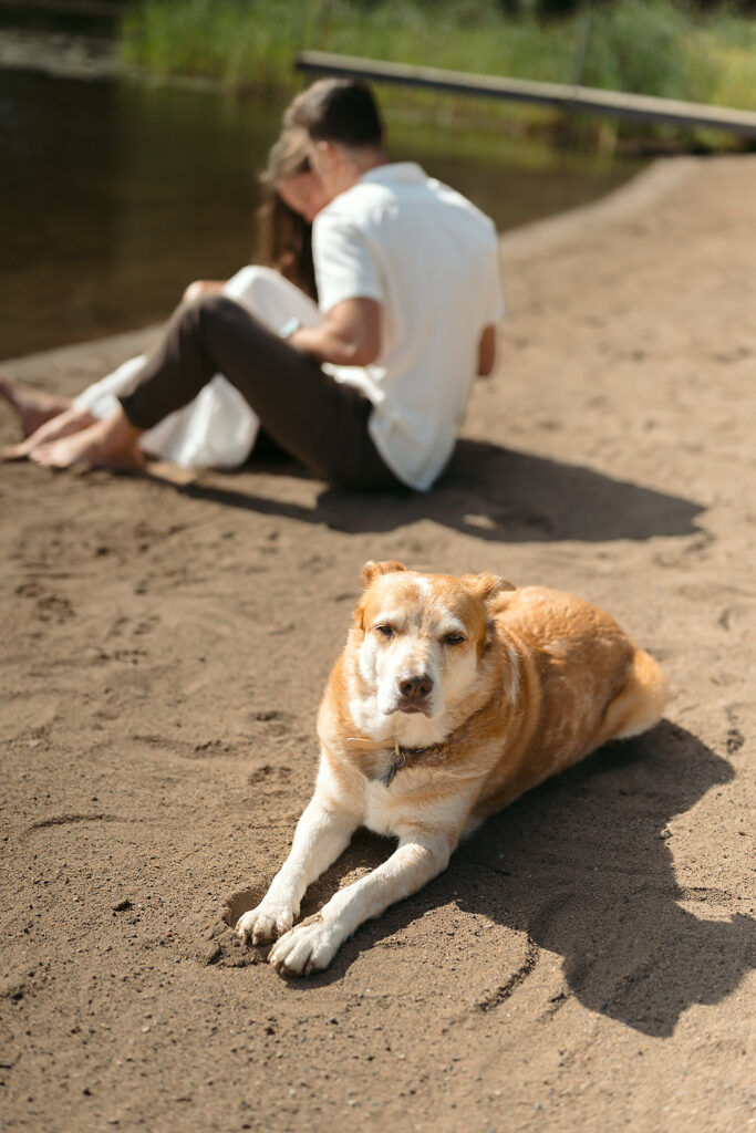 sweet couple snuggling their dog on a lake shore