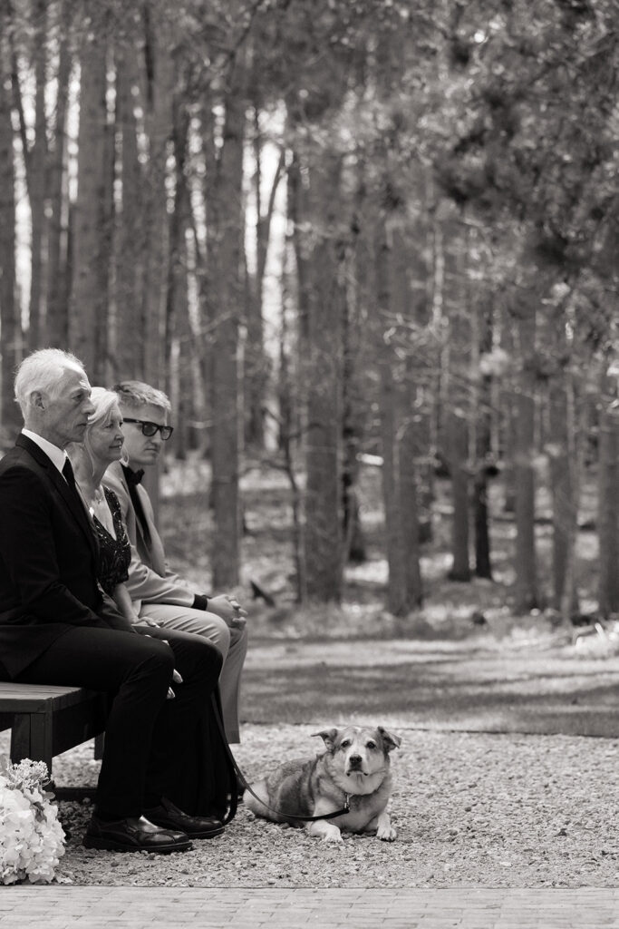 candid wedding ceremony moments during an outdoor wedding at the catalyst by nature link